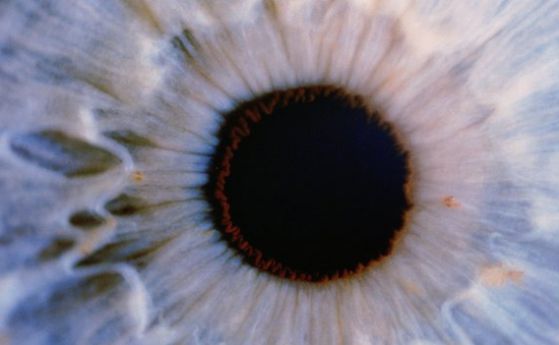 Очни клетки от починали връщат зрението на слепи хора
