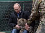 Владимир Путин гали леопард в развъдника за леопарди в Сочи.