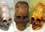 Тайната на продълговатите черепи от Паракас
