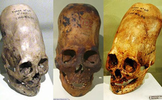 Учени: Намерените продълговати черепи в Перу не са с човешко ДНК
