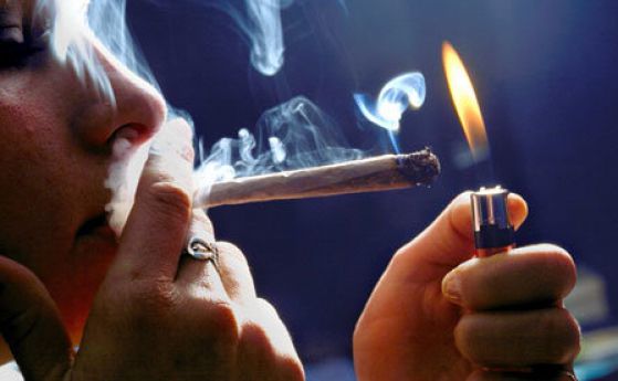 Сърбия легализира марихуаната за медицински цели