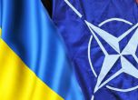 Украйна иска членство в НАТО