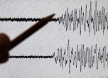 Мощно земетресение разтърси бреговете на Калифорния