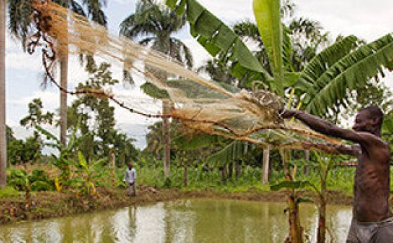 Поддържане на биоразнообразието е начин на фермерите да се справеят с ефектите на глобалното затопляне. Снимка: www.un.org