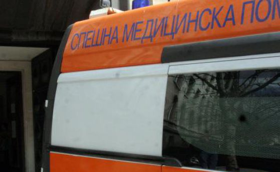 Почина жената, разкъсана от питбули в Русенско