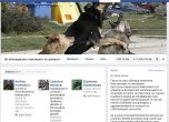Хайки за избиване на кучета вилнеят във Фейсбук (18+)