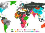 Какви продукти изнасят най-много държавите в света (виртуална карта)