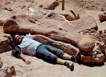 Откриха останките на най-големия динозавър 