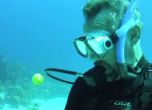 Да счупиш яйце на 20 метра под вода (видео)