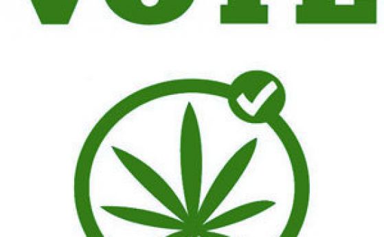 В Калифорния купуват гласове с марихуана