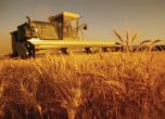 ЕК възстанови на България над 860 млн. евро земеделски пари