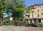 Пловдив е наводнен от проливните дъждове, падна елхата пред кметството