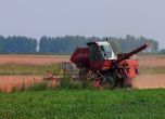 Министърът на земеделието: Опасност от зърнена криза няма 
