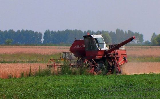 Министърът на земеделието: Опасност от зърнена криза няма 