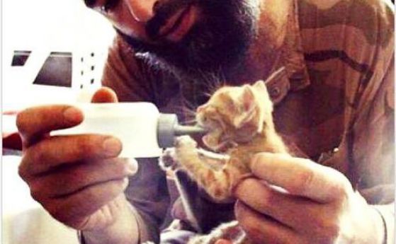 Терористите от ИДИЛ започнаха пропаганда с котки