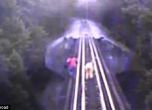 На косъм от смъртта: Жени легнаха под влак и се спасиха 