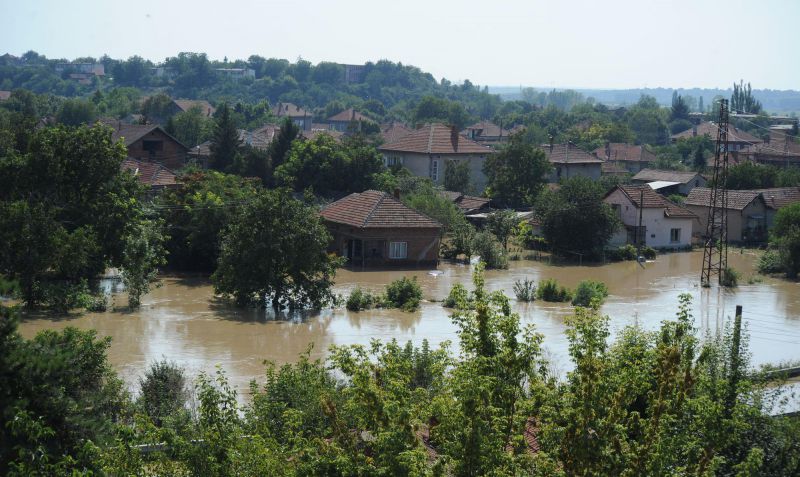 Мизия под вода