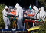 Испанец е първата жертва на ебола в Европа