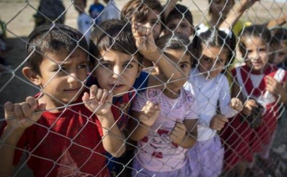 Нежеланите в Калище деца на бежанци още не ходят на училище