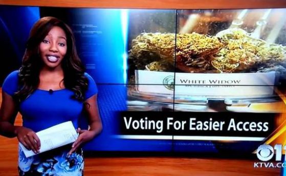 Говорителка напусна в ефир, за да легализира марихуаната (видео)