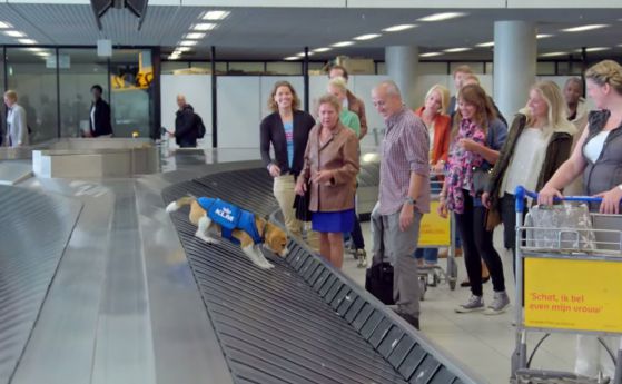 Кучето Шерлок, което впечатли целия свят с професията си (видео)