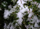 Първи сняг падна в Родопите