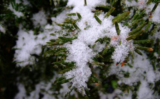 Първи сняг падна в Родопите