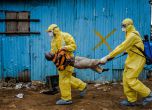 СЗО: Ебола е най-големият здравен проблем в съвременната епоха