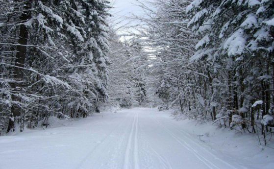 60 души са блокирани на Кръстова гора заради снега