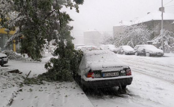 46 000 домакинства без ток заради снега (обновена)