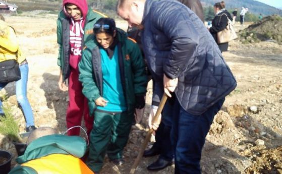 Засаждат 4 хил. кедъра на мястото на незаконните ромски къщи в Стара Загора