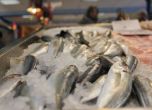 БАБХ затворила един магазин и конфискувала над 125 кг риба по Никулден