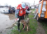 Доброволци спасяват домашни животни от наводненото село Крушаре