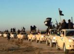 Колона от коли с бойци на "Ислямска държава".