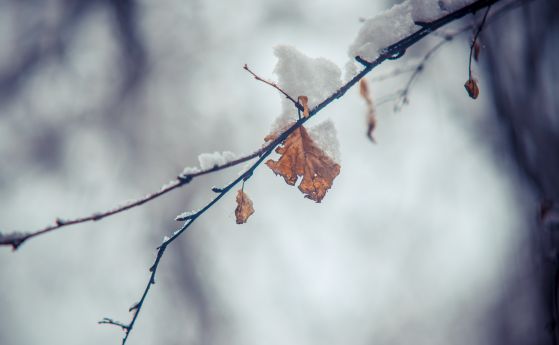 Червен код за снеговалежи е обявен на 6 март в Смолян и Кърджали