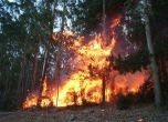 60 души пострадаха при пожар в Сибир