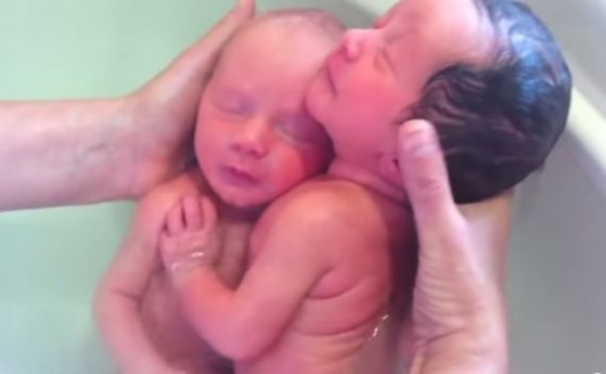 Близнаци не разбраха, че са родени (видео)