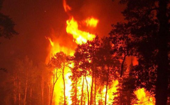Голям горски пожар се разрази край Струмяни, Благоевградско