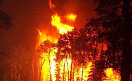 Пожарът в Струмяни е овладян