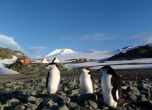 Президентът кръсти седловина Сойка и нос Лебед в Антарктика