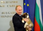 Путин с каракачанската овчарка, подарена му от Бойко Борисов.