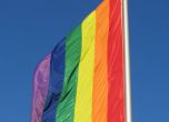 Ирландия гласува "за" хомосексуалните бракове
