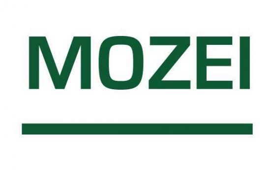 Програма на новия Mozei за модерно изкуство за юни