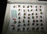 17-годишна дилърка в ареста, открили 10 пликчета наркотици в стаята ѝ (снимки)