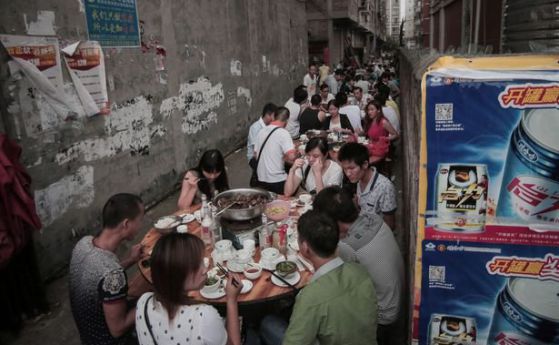 Хиляди се обявиха против китайски фестивал за ядене на кучета