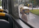 Хулигани нападнаха автобус в Пловдив