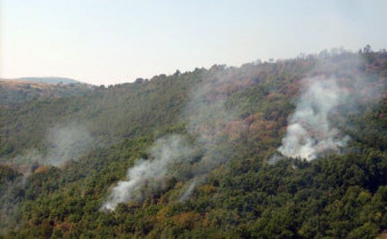 Пожар край Бобошево, горят 100 дка гора
