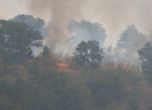 Пожар в Хасковско, горят над 1000 декара