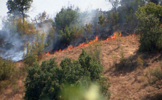 Над 6000 декара горят край Лесово