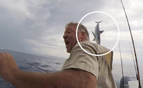Скоклива акула стресна рибари край Калифорния (видео)